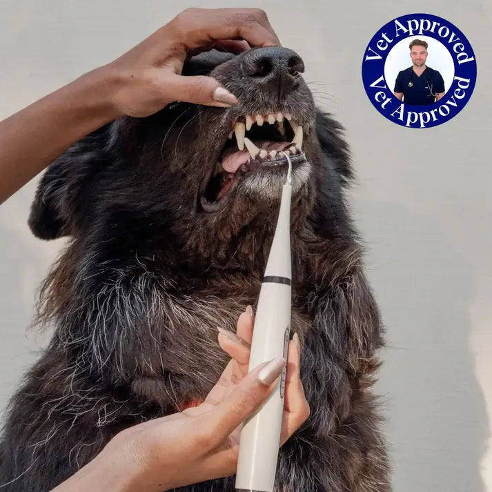 CANIDENT® | Limpiador dental para perros