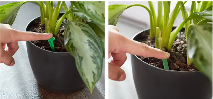 Grow More Sticks - Kit con 30 Sticks