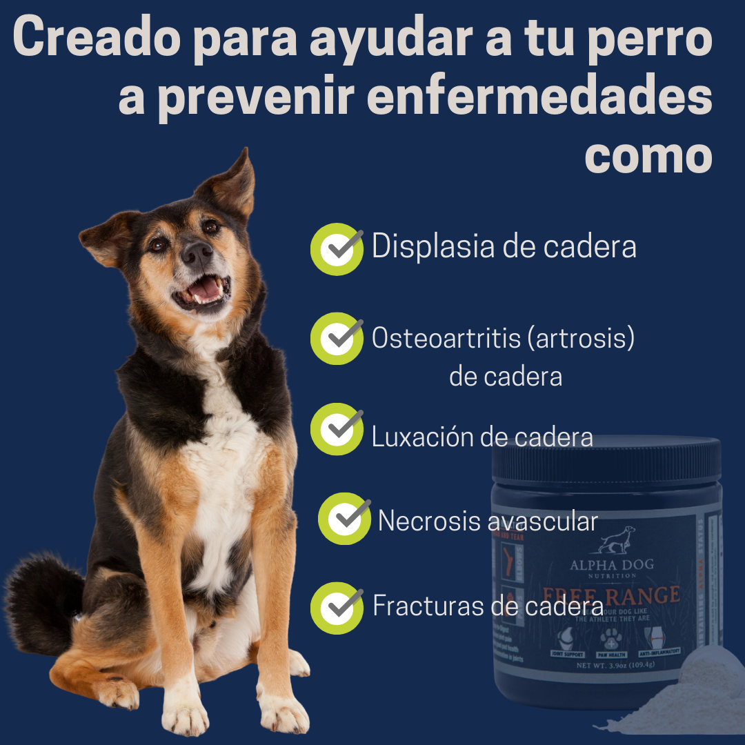 Suplemento articular - FORMULA DESARROLLADA 100% Natural - Avalado y comprobado ✅