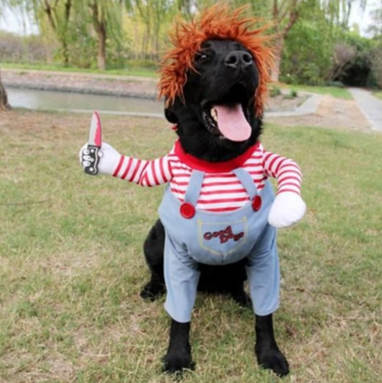 Choky®: tu mascota será la sensación más tierna y diabólica