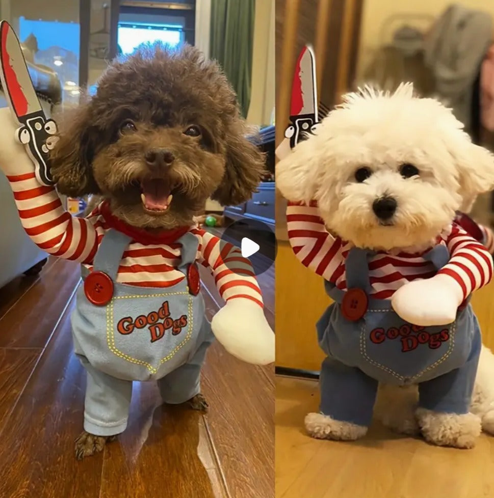 Choky®: tu mascota será la sensación más tierna y diabólica