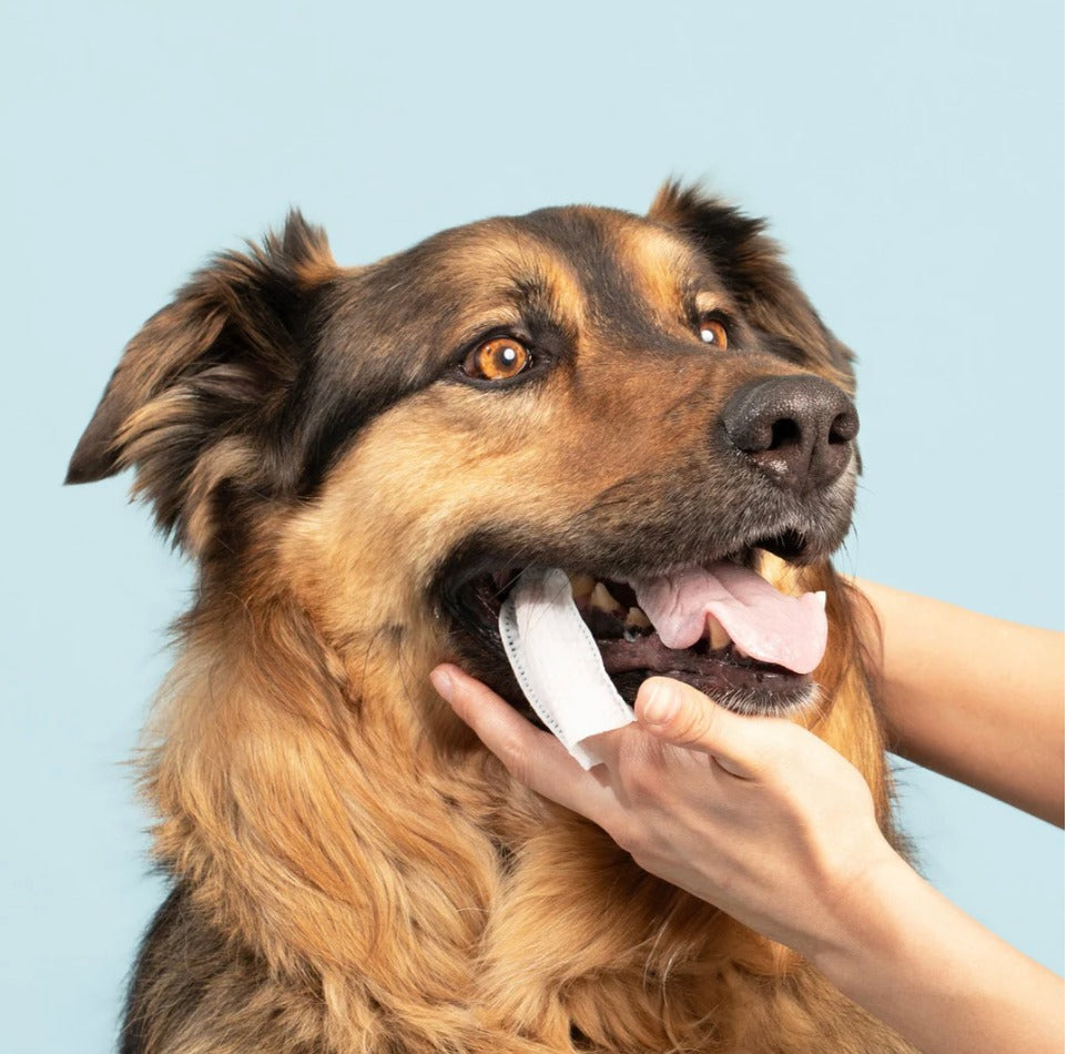 Toallitas de limpieza de dientes para perros y gatos 50 Unidades