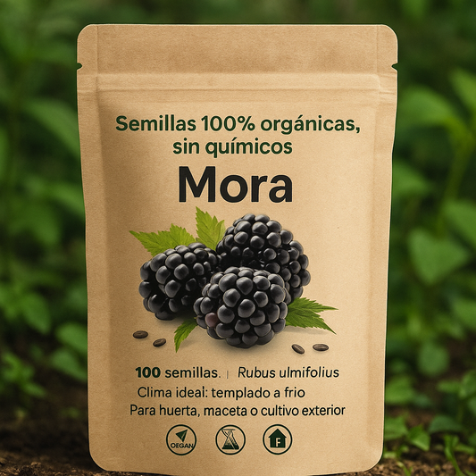 Semillas de Mora Grande Premium |MoraMax®  100 Semillas