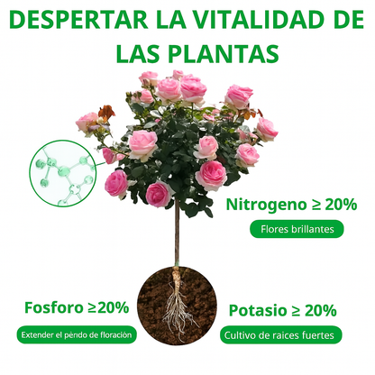 Fertilizante - Revive y acelera el crecimiento de tus plantas en tiempo récord.