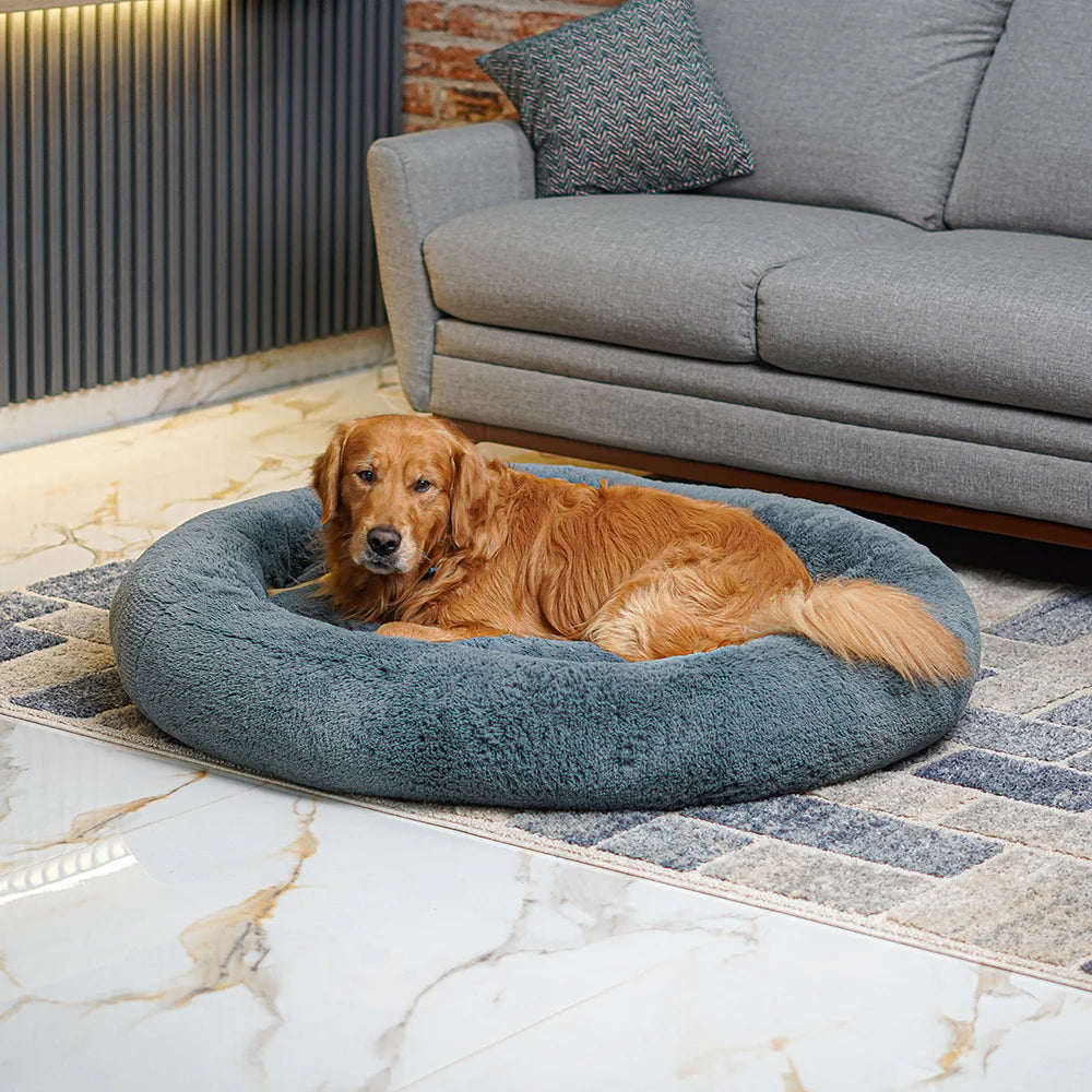 Cama Orginal Antiestrés Tipo Donut Para Perros-  Nido Acogedor Perfecto Para Sus Articulaciones