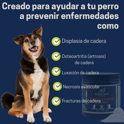 Suplemento articular - FORMULA DESARROLLADA 100% Natural - Avalado y comprobado ✅