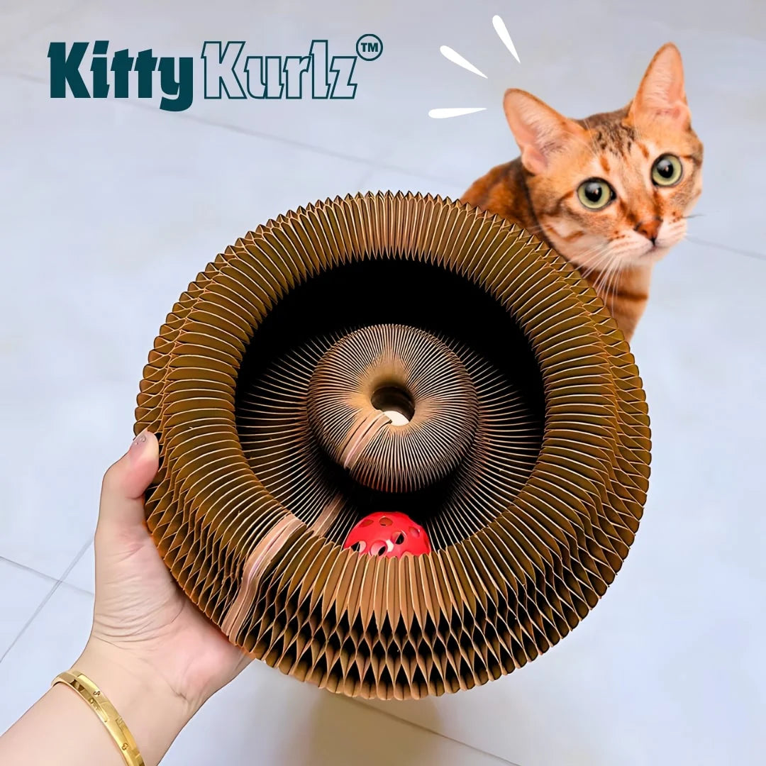 Kurlz™ - RASCADOR GATO CARTON IMAN + PELOTA