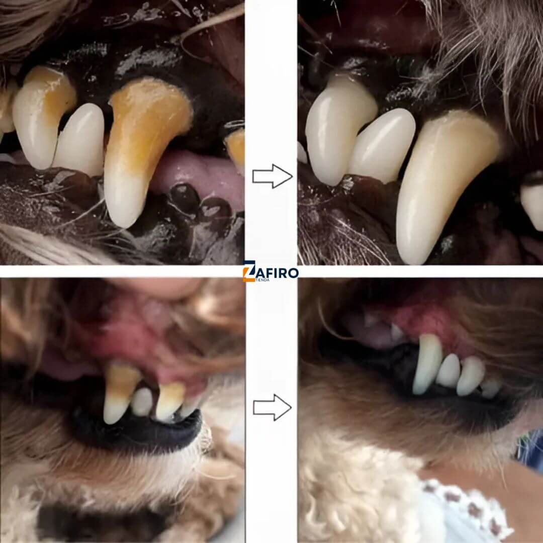 DENT CLEAN® || Lapiz de limpieza dental canino OFERTA 3x1
